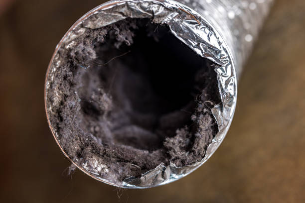 Best Affordable Air Duct Cleaning  in Essexville, MI